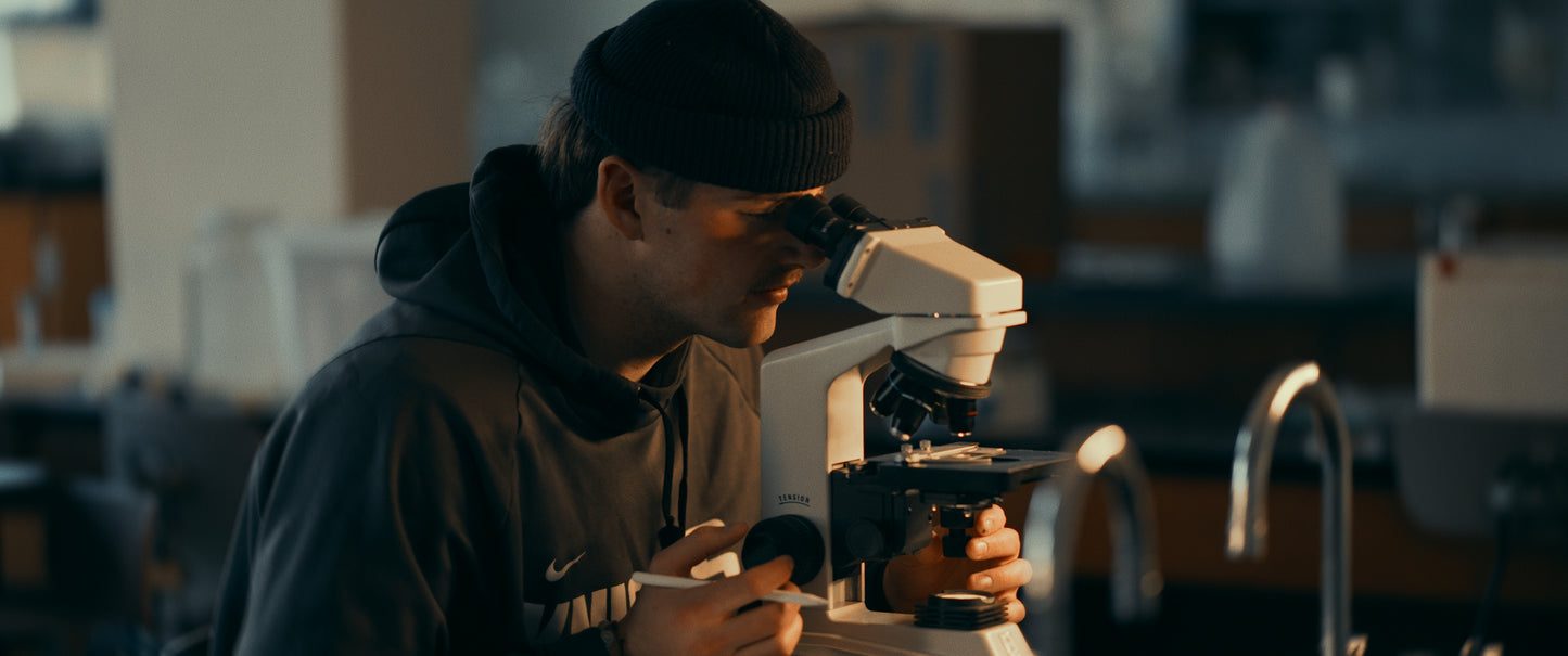 Portra V2 & V3 Film Emulation LUTs