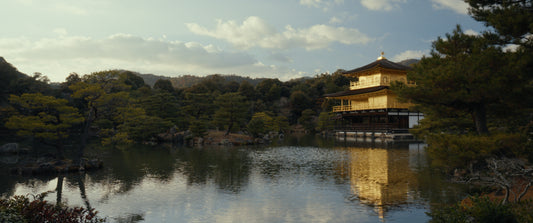 Testing the Nikon ZR in Japan - Nikon ZR R3D Footage Download